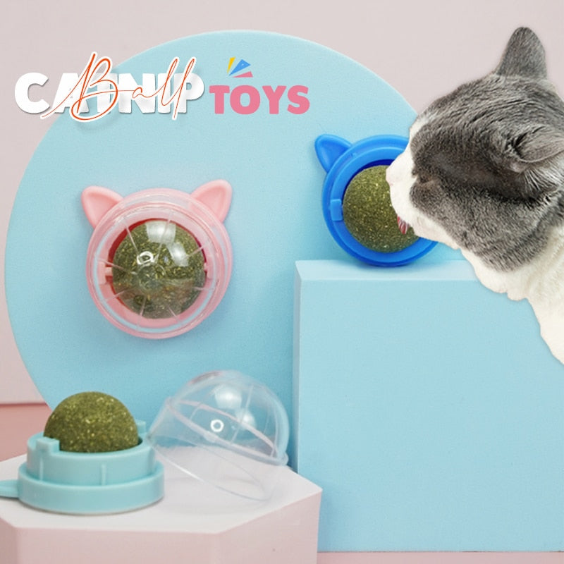 Bolas erva para gato, brinquedo interativo comestível para gatinhos