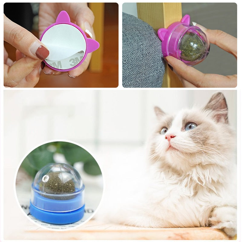 Bolas erva para gato, brinquedo interativo comestível para gatinhos