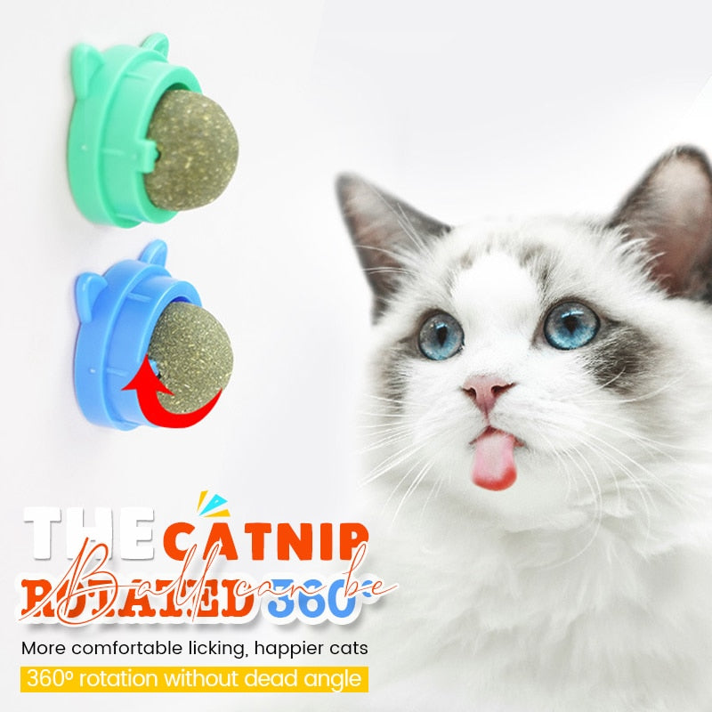 Bolas erva para gato, brinquedo interativo comestível para gatinhos
